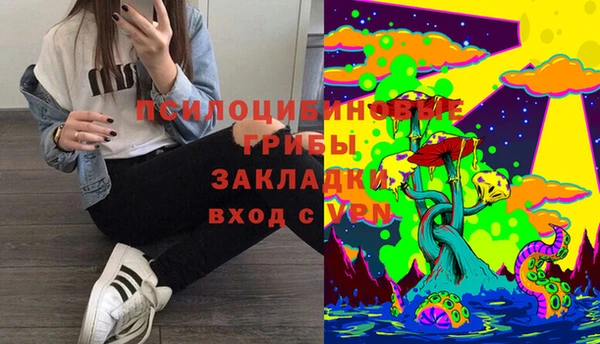 прущие грибы Магадан