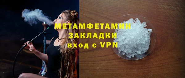 прущие грибы Магадан