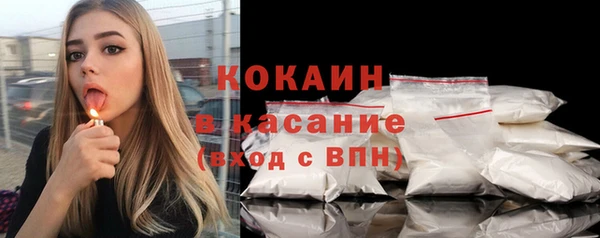 прущие грибы Магадан