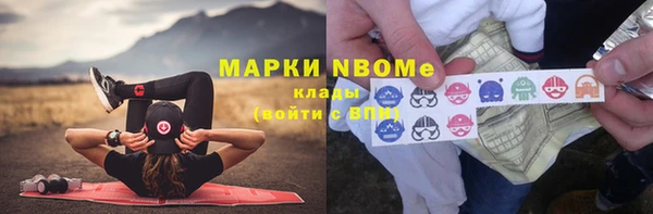 прущие грибы Магадан