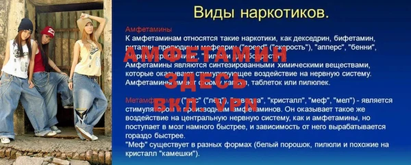 прущие грибы Магадан