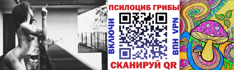 Купить где Краснослободск Псилоцибиновые грибы Magic Shrooms
